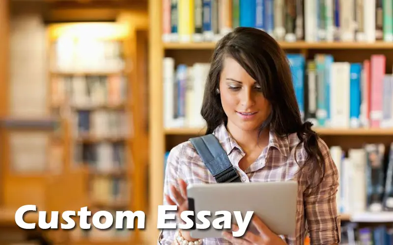 essay writer – Lessons Learned From Google